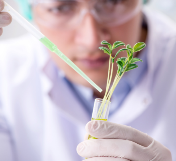 Scientist experimenting a plant | Biomaterials of Tomorrow
