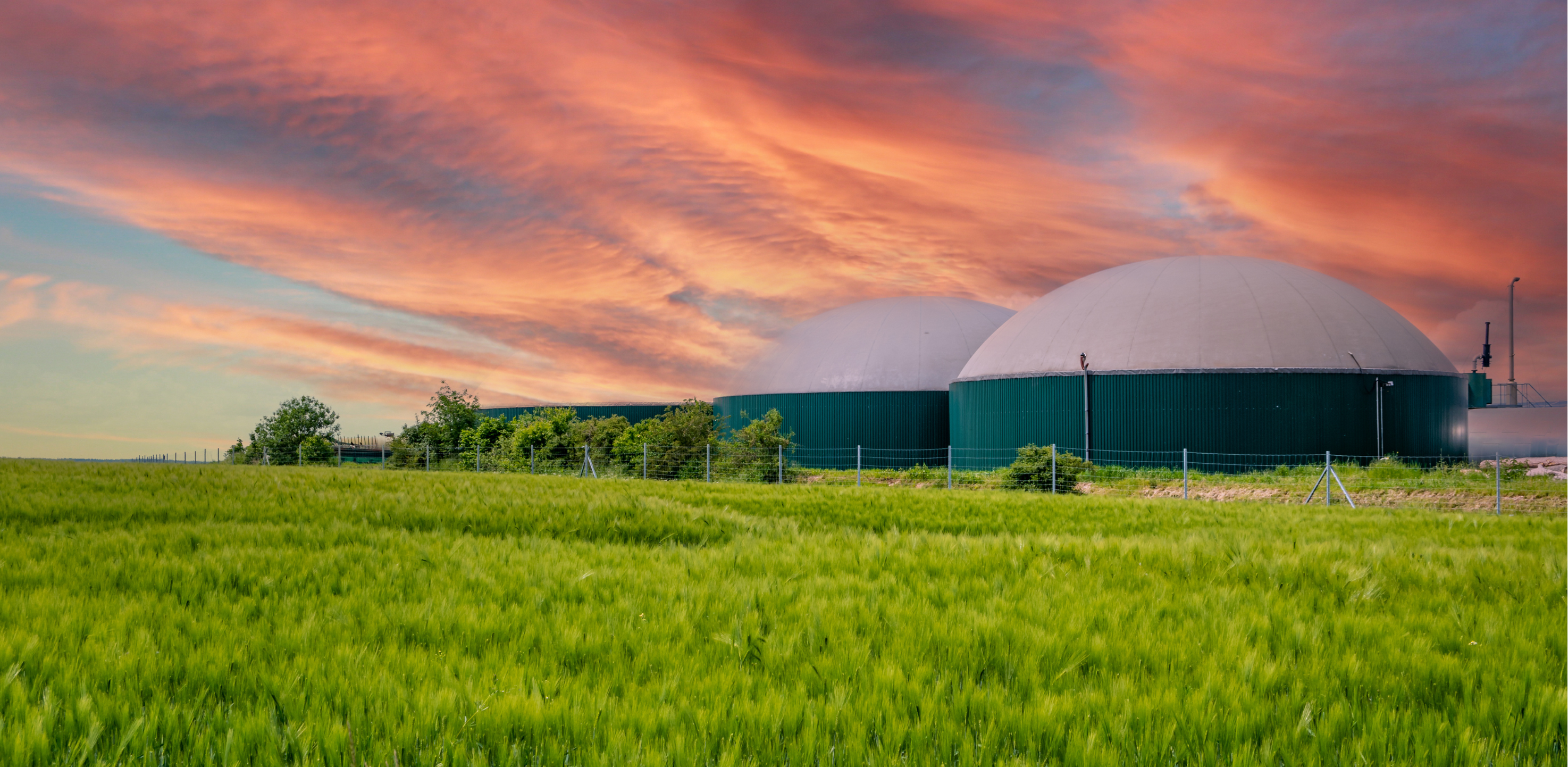 Biogas Facility