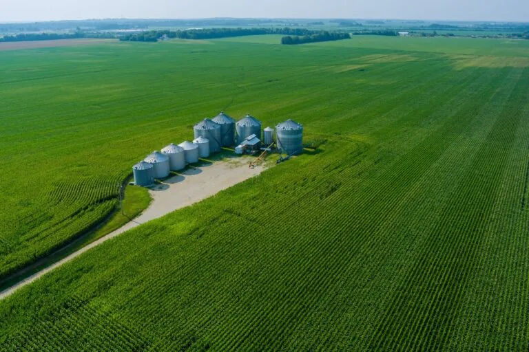 Food Grain Silos