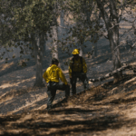 Hazardous Fuel Fire Fighters