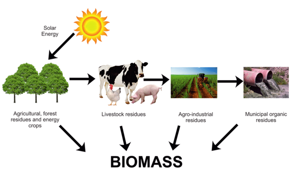 Biomass A;lt Gas