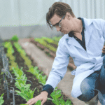 Agricultural researcher evaluating crop performance in a controlled growing environment for USDA agricultural systems research