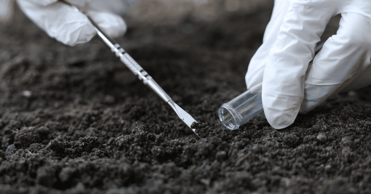 Scientist collecting and preparing biochar or soil samples for laboratory testing and carbon measurement verification